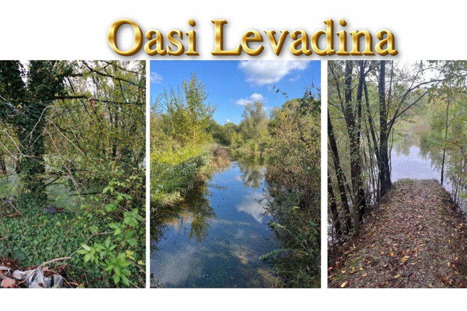 oasi Levadina